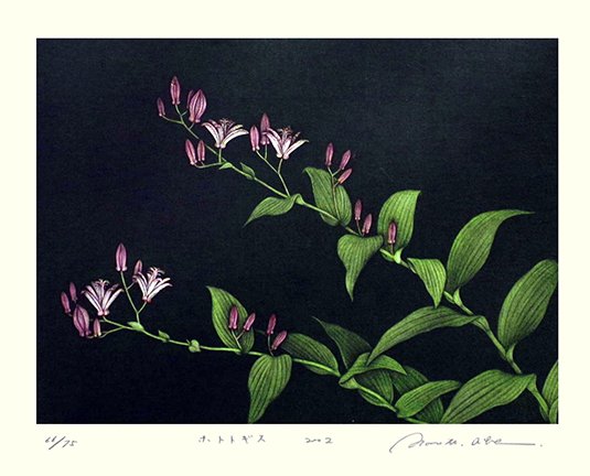 photo4.jpg
