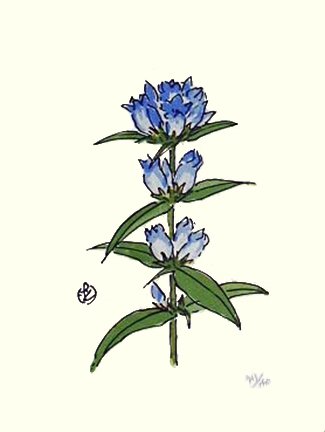 photo14.jpg