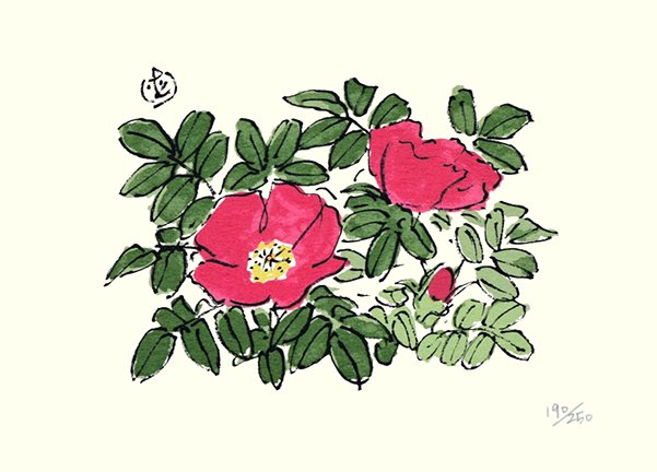 photo24.jpg