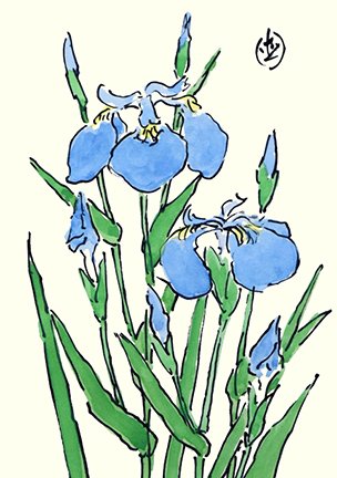 photo27.jpg