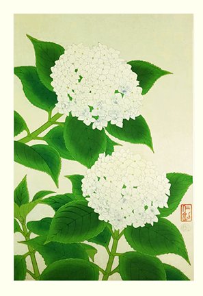 photo21.jpg