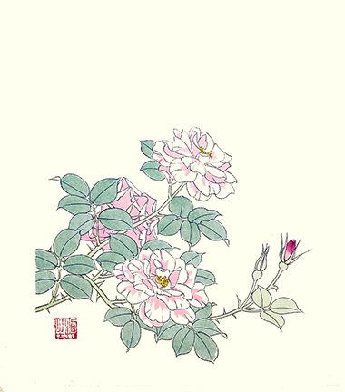 photo24.jpg