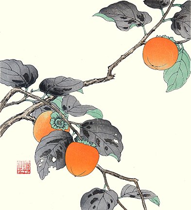 photo26.jpg