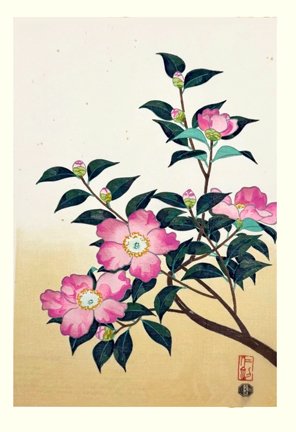 photo31.jpg