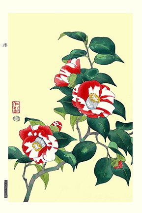 photo9.jpg