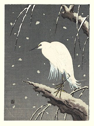 photo2.jpg