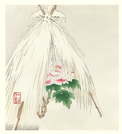 photo6.jpg