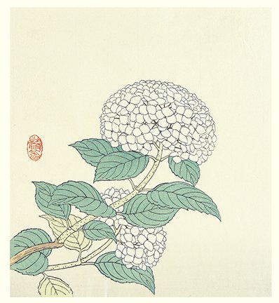 photo8.jpg
