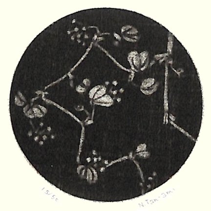 photo17.jpg