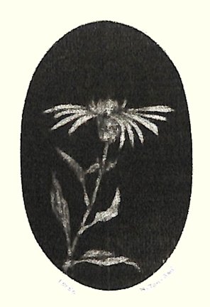 photo19.jpg