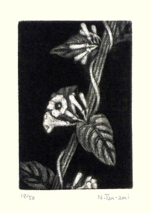 photo23.jpg