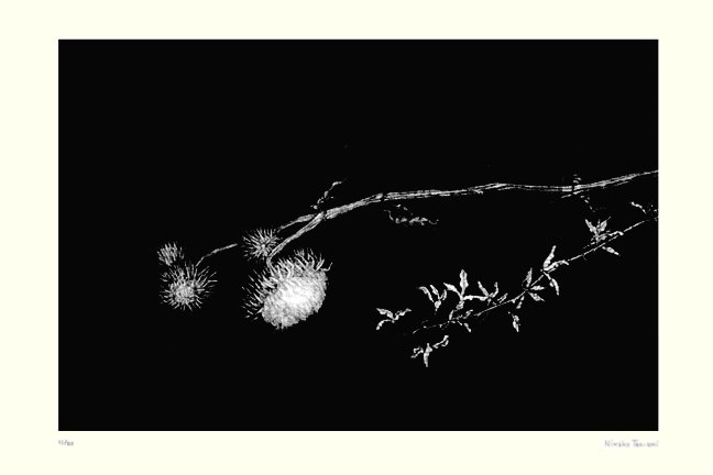 photo27.jpg