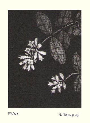 photo3.jpg