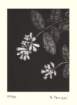 photo3_small.jpg