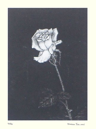 photo4.jpg