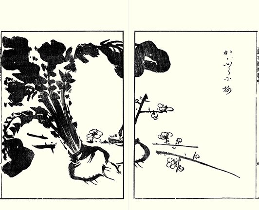 photo9.jpg