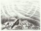 photo13_small.jpg