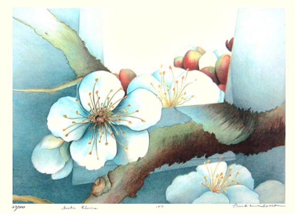 photo4.jpg