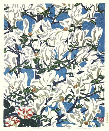 photo13.jpg