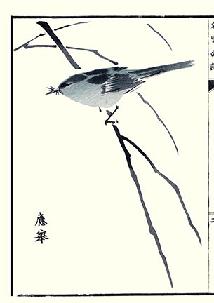 photo16.jpg