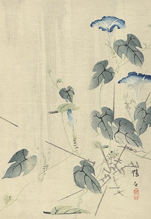 photo9.jpg