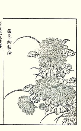 photo.jpg