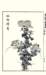 photo11_small.jpg