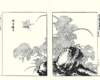 photo14_small.jpg