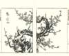 photo19_small.jpg