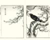 photo23_small.jpg