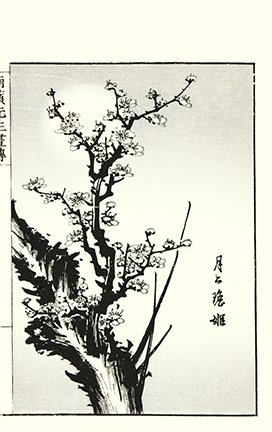 photo28.jpg