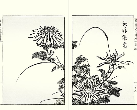 photo7.jpg