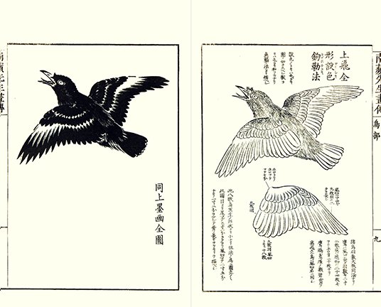 photo2.jpg