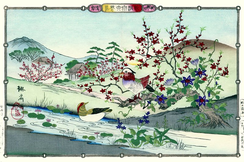 photo8.jpg