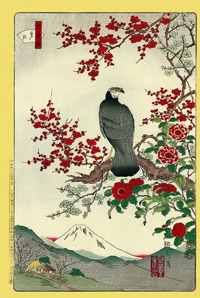 photo14.jpg