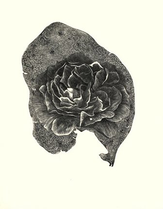 photo10.jpg