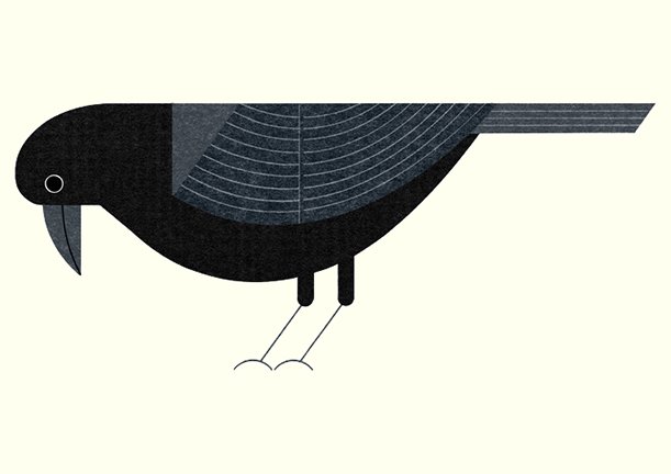 photo27.jpg