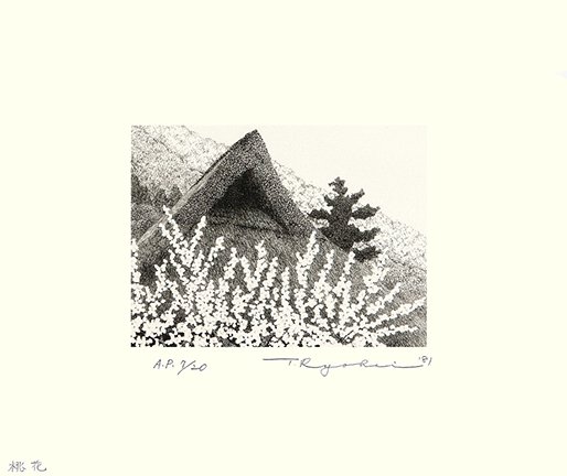 photo19.jpg