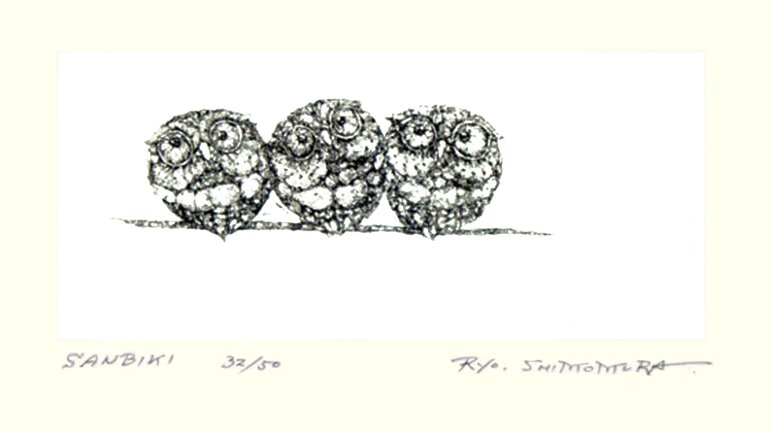 photo7.jpg