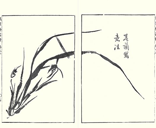 photo15.jpg