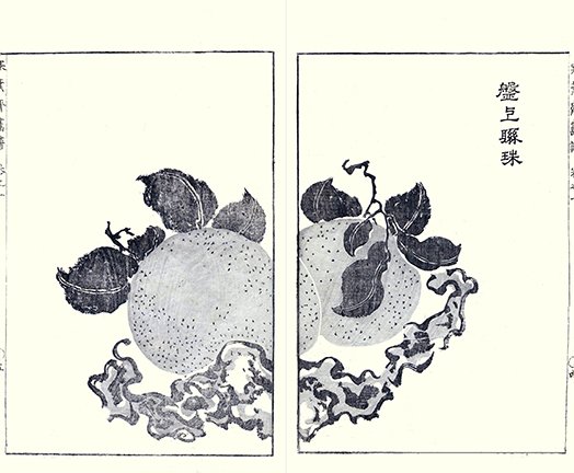 photo2.jpg