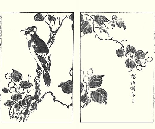 photo22.jpg
