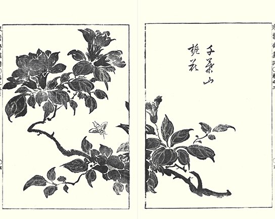 photo26.jpg