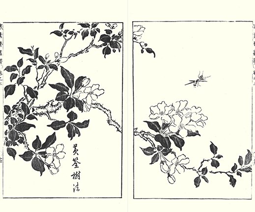photo31.jpg