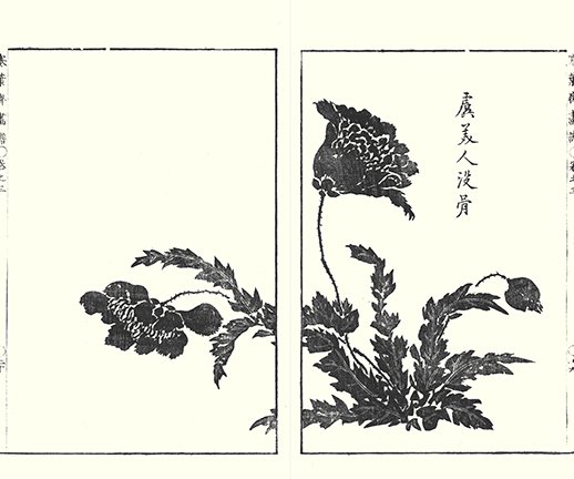 photo32.jpg