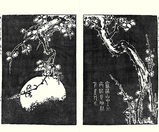 photo7.jpg