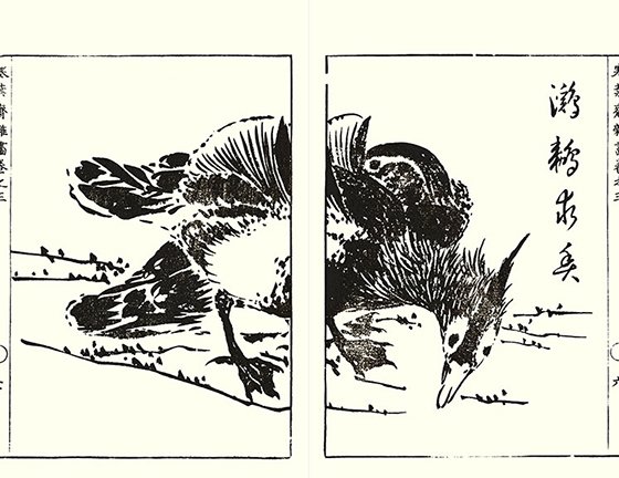 photo26.jpg