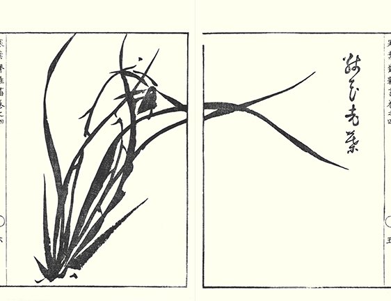photo43.jpg