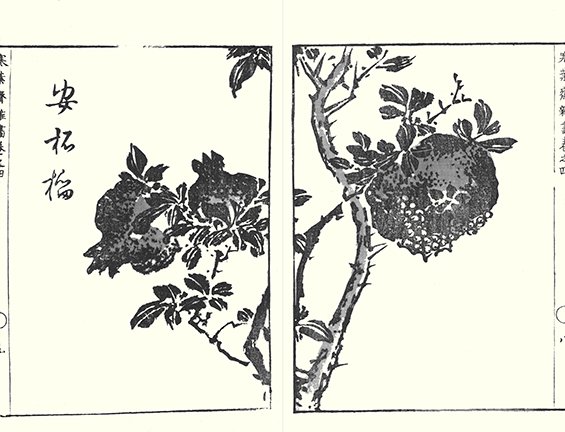 photo46.jpg