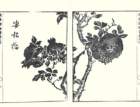 photo46_small.jpg